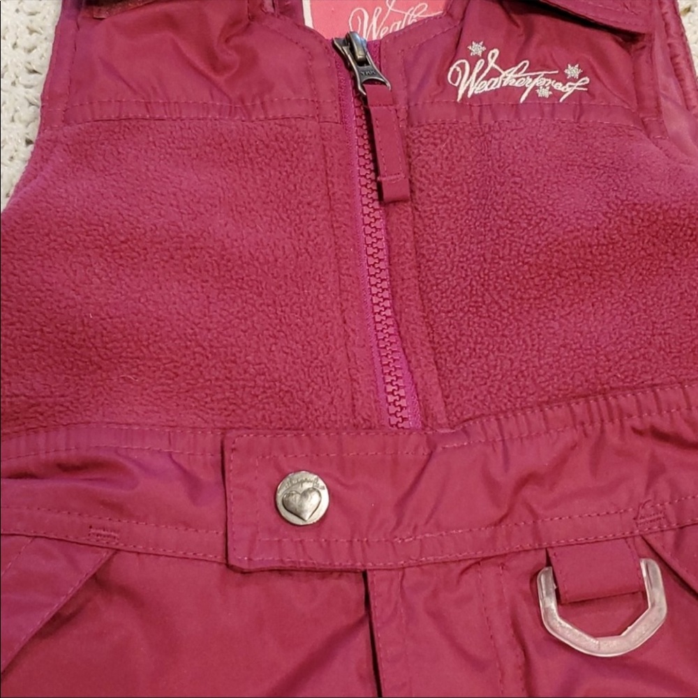 Weatherproof toddler girl snow bibs. 2T
